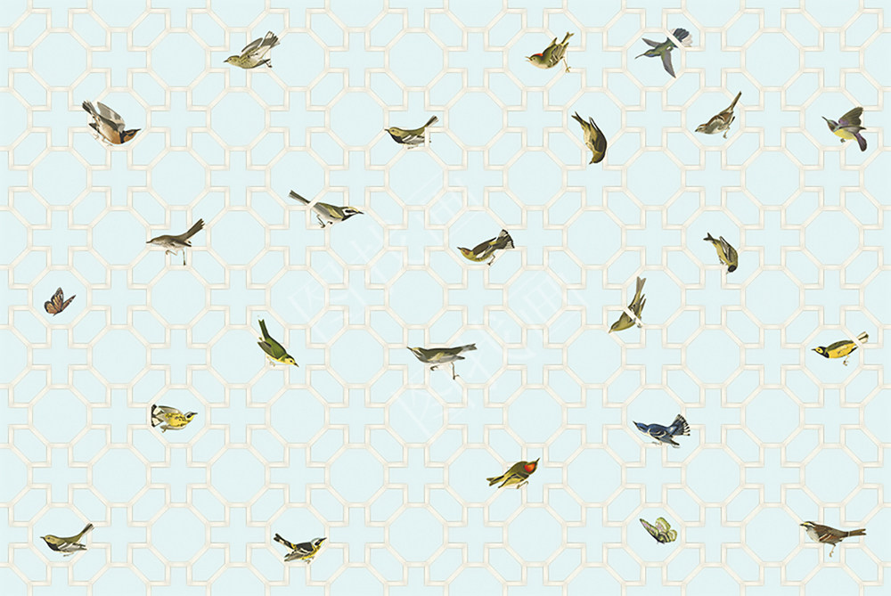 04HTQ (65)200x300cm