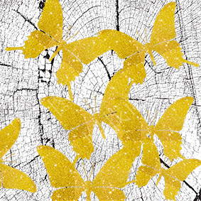 03HTL(41)70X70cm-A