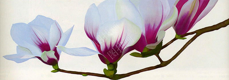 05HTY (550) 57x20cm