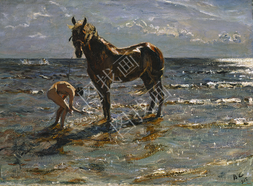 洗浴中的马-45x60cm