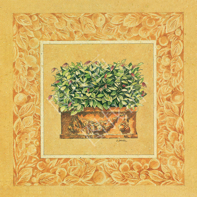 010HTK (1539) 50x50cm