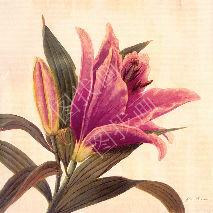 016HTK (151) 40x40cm