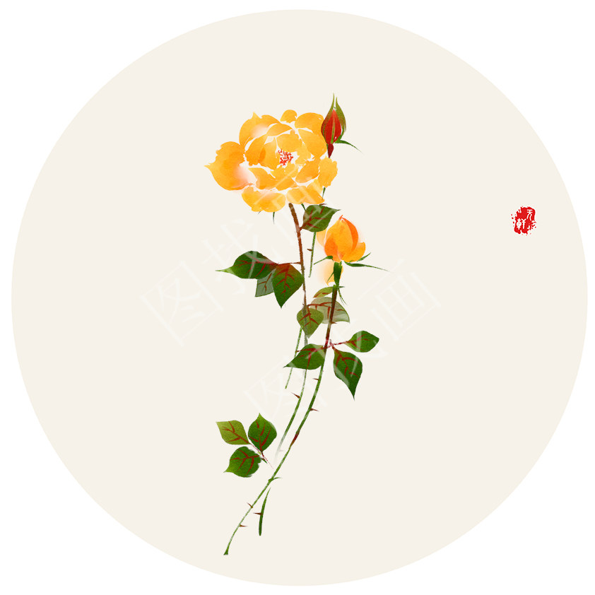 （6）黄玫瑰30x30