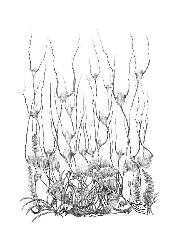 (6)麦平 森林系列 80X110CM